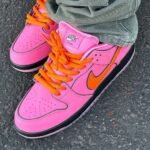 Powerpuff Girls x Nike SB Dunk Low Blossom Bubbles Buttercup Mens Sneakers